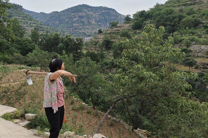 農業生物多樣性第一線 中國婦女領頭的農村生存策略