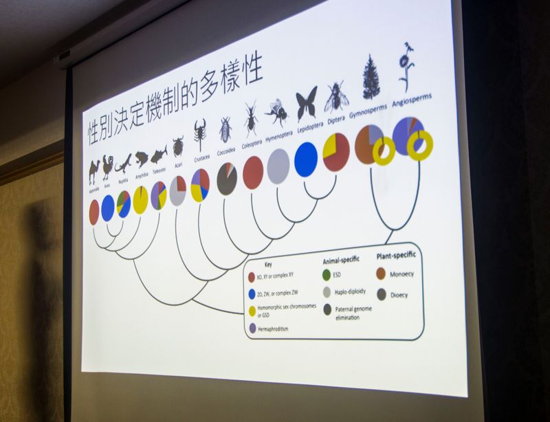 多元世界超乎想像 從性別轉換一窺生物奧秘