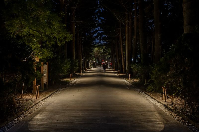 夜間植物園為穿梭行人打光 植光計畫植人都得益