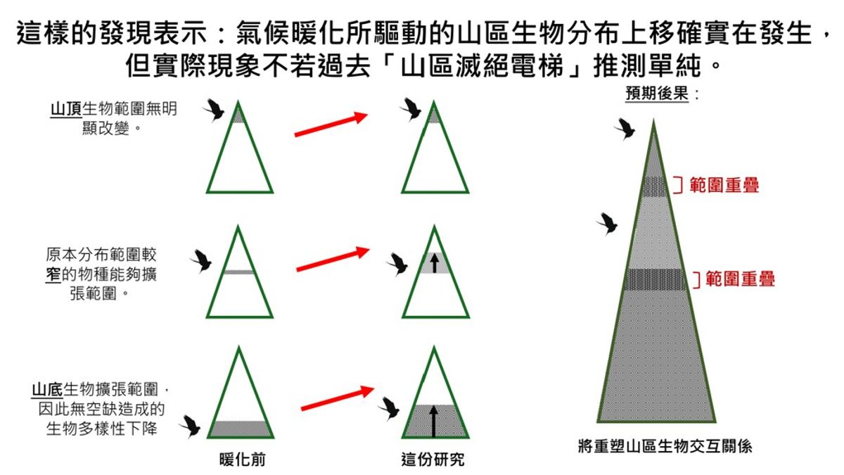 台法學者首證「山區滅絕電梯」理論證據有限 重新定錨暖化影響山區生物研究方向