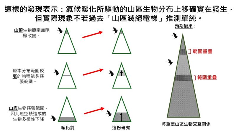台法學者首證「山區滅絕電梯」理論證據有限 重新定錨暖化影響山區生物研究方向