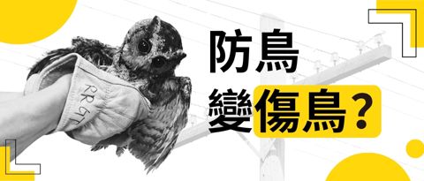 防鳥變傷鳥？