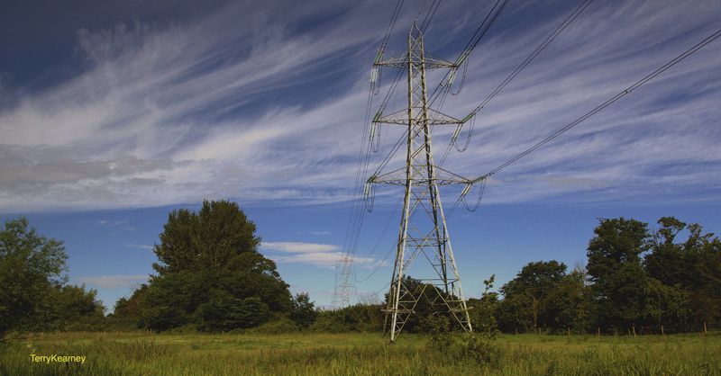 無心插柳柳成蔭──日本新高壓電力公司消費者激增
