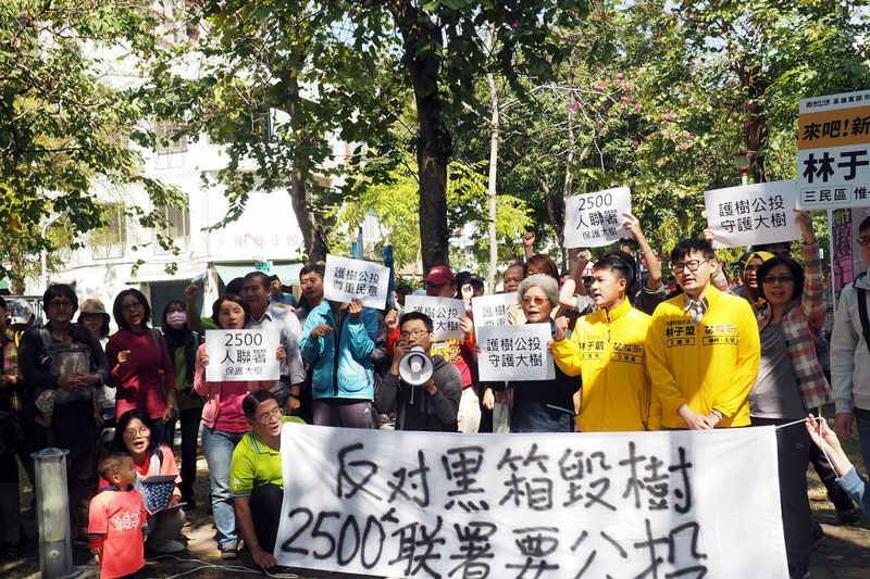 綠蔭沒了！ 高雄公園移大樹種小樹 千人聯署要公投