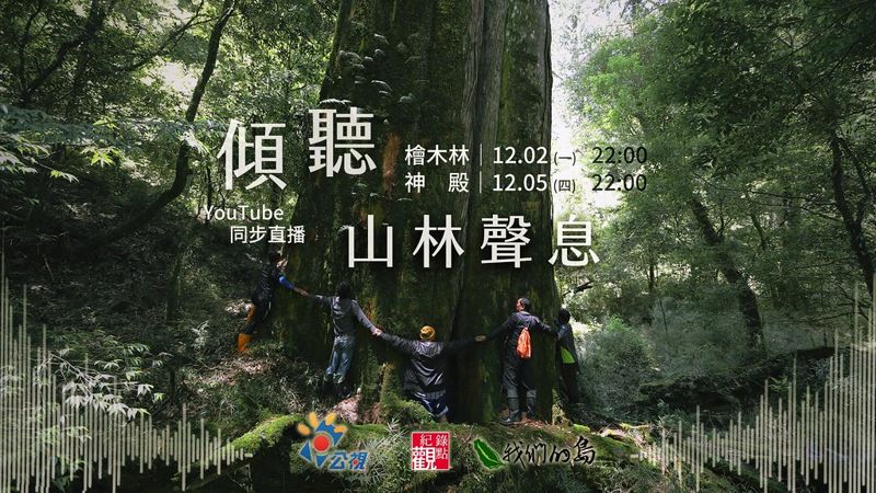 搭一座理解山林的橋──我看《檜木林》與《神殿》