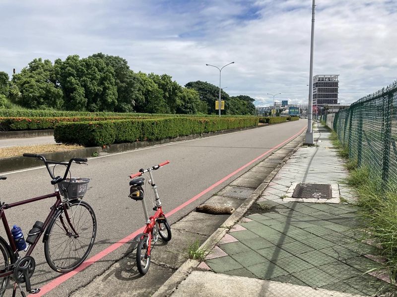 高鐵站附近石虎疑遭路殺 中市石虎保育委員會最快10月開會