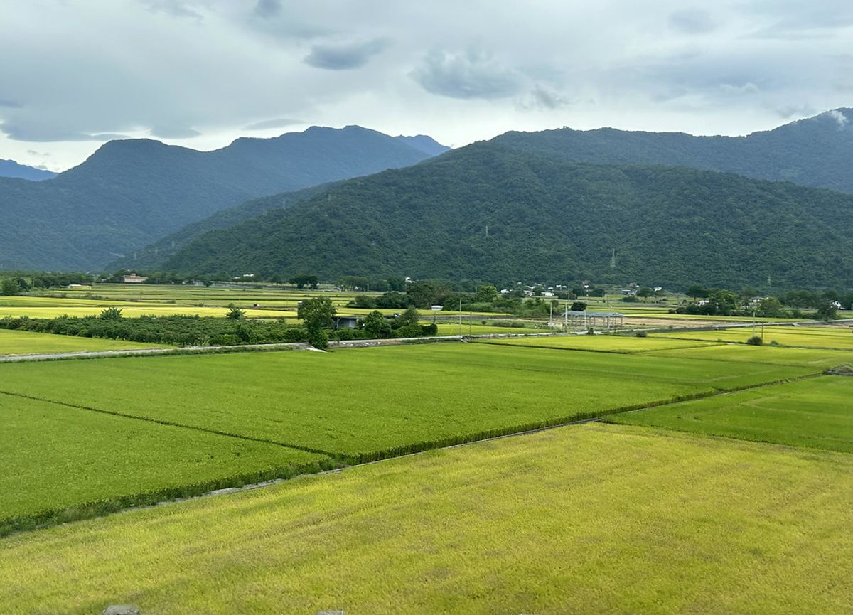藍綠立委倡國土計畫延2到4年——農地農用是否「特別犧牲」？ 兩個留德法學學者這樣說