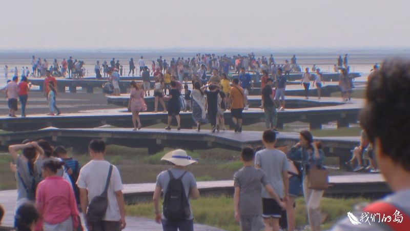 高美失地 彈塗魚與陸蟹的隱憂