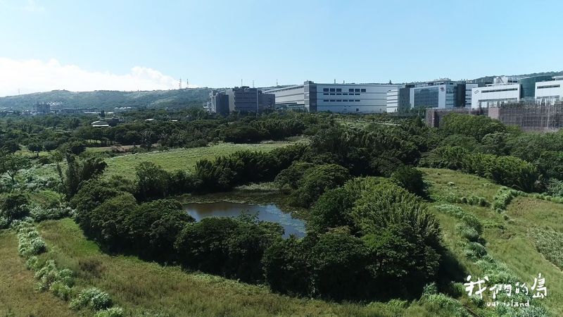 終極搶救 力挽龍科三期生態衝擊 埤塘裡的動植物要搬去哪？