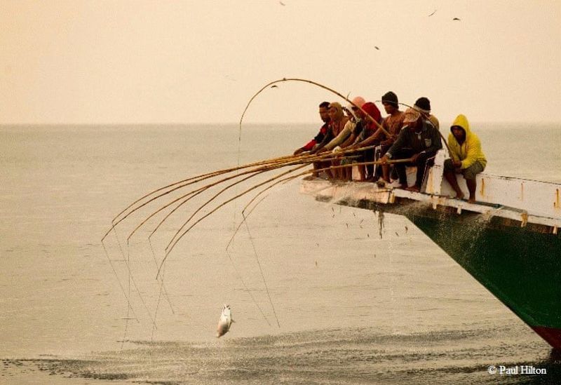 「一魚一線」 印尼推永續漁法 成果豐碩