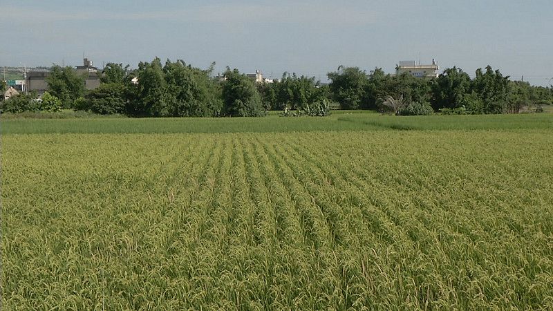 農地分區調整進行中 特定農業區總量定33萬公頃 七縣市已表達不辦理