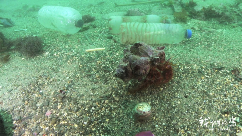 海塑去哪兒 太平洋逾5成海洋垃圾持續漂流