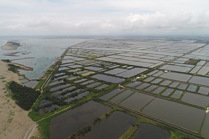 漁業署再審500公頃漁電共生 環團籲暫緩審查 讓綠能去「對的地方」