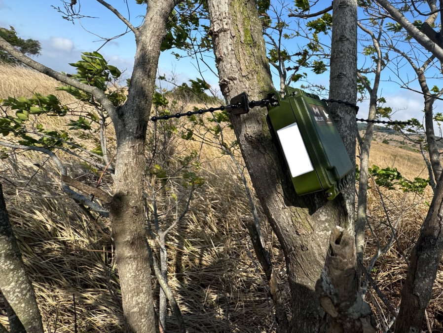 研究團隊透過於大肚山地區架設自動錄音機調查草鴞可能的活動區域。圖片來源:林保署台中分署 提供