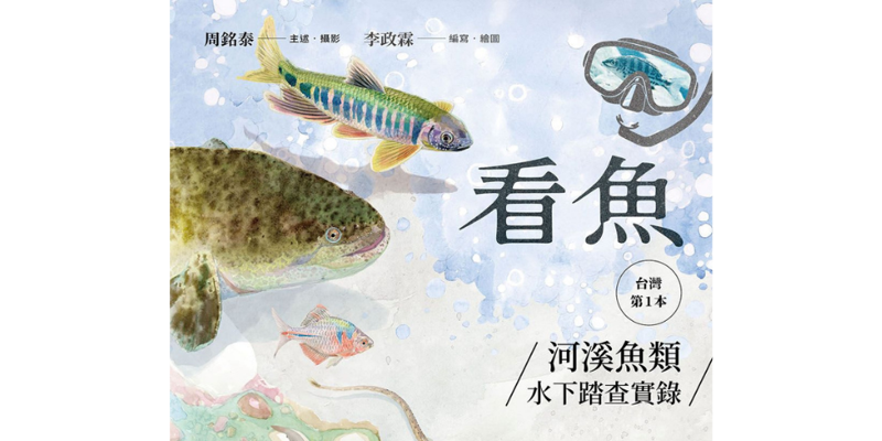 《看魚》：一條魚如何從「國寶」變成「強勢入侵種」？