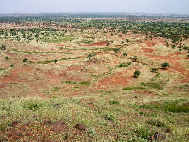 深度解析:氣候變遷、土地劣化影響區域衝突和糧食安全?