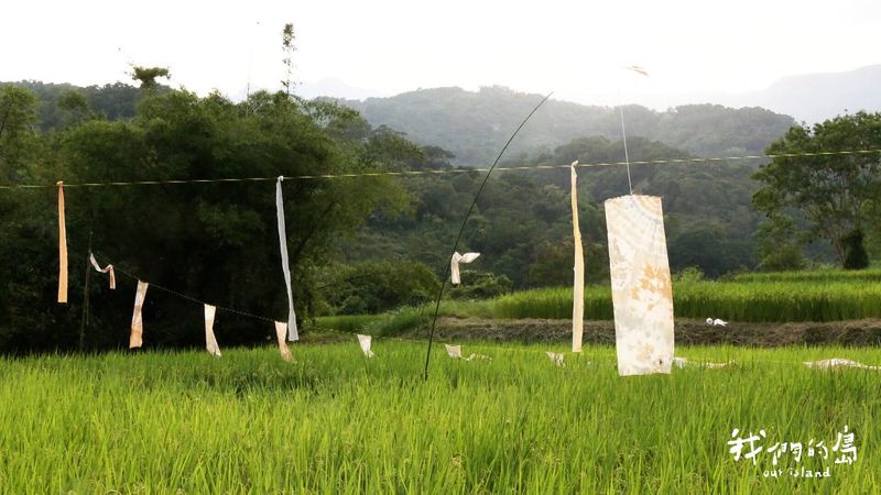 地景搞藝術 和自然、土地結合的創作