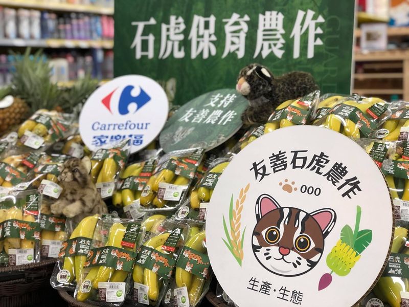 石虎保育再添通路 家樂福首波開賣石虎山蕉 芒果、鳳梨接棒