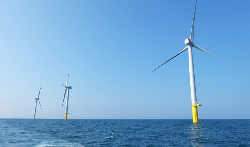 掌握離岸風場環境 能源局自辦「海域生態實證」 研究計畫