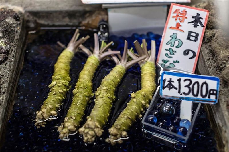 不能沒有Wasabi 升溫影響山葵產量 日本急培育新品種