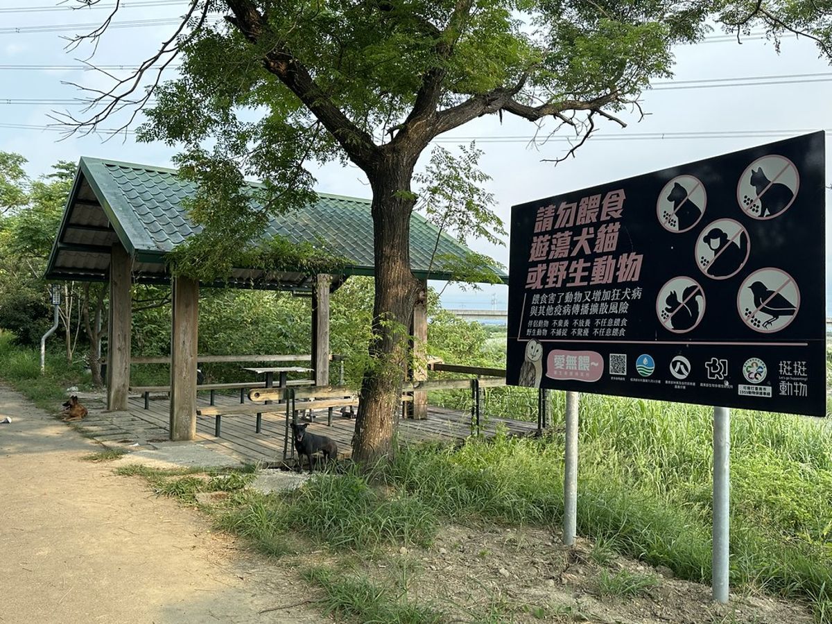 野保團體評《動保法》修法：38項提案僅一項納遊蕩動物衝突管理