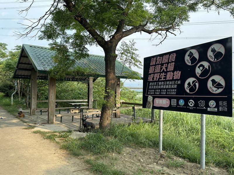 野保團體評《動保法》修法：38項提案僅一項納遊蕩動物衝突管理
