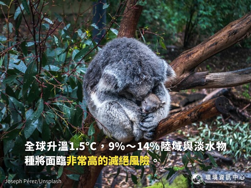 聯合國重磅氣候報告《衝擊、調適與脆弱度》