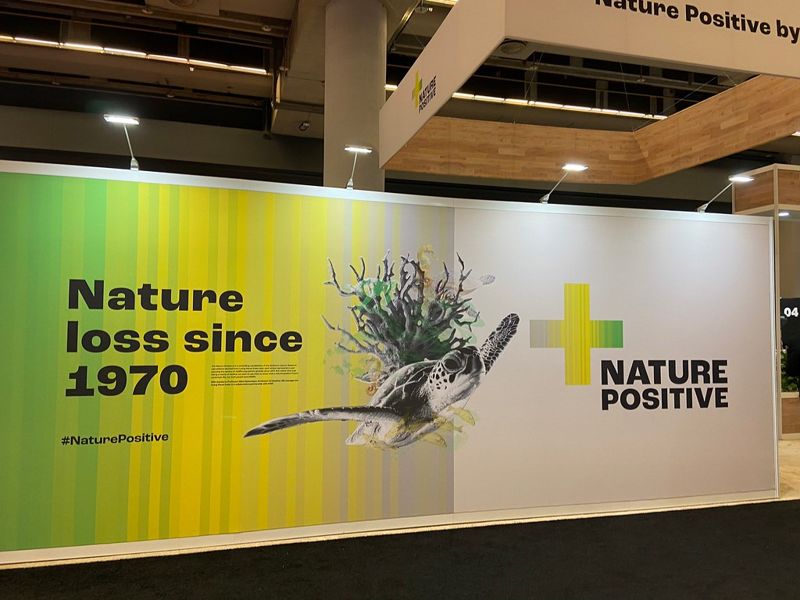 大家在說的「自然正成長」（Nature Positive）係蝦米？