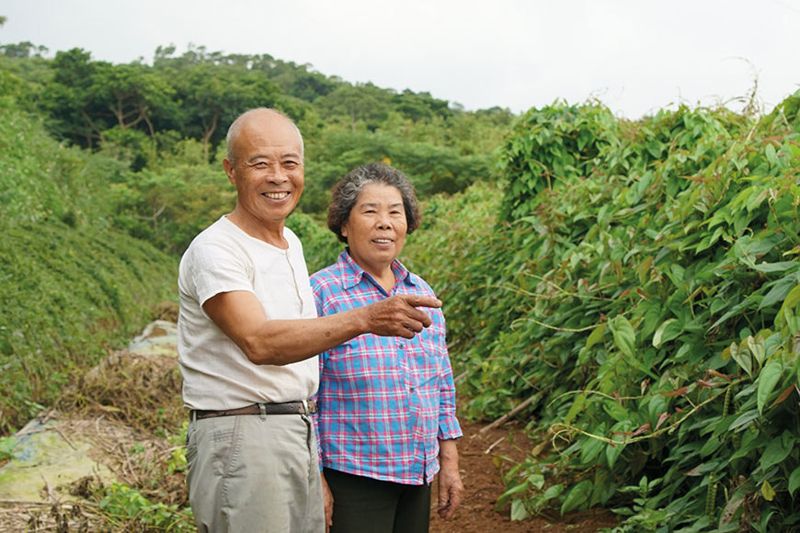三芝農友的告白 謝金全：一份種給自家人吃的心意和安心