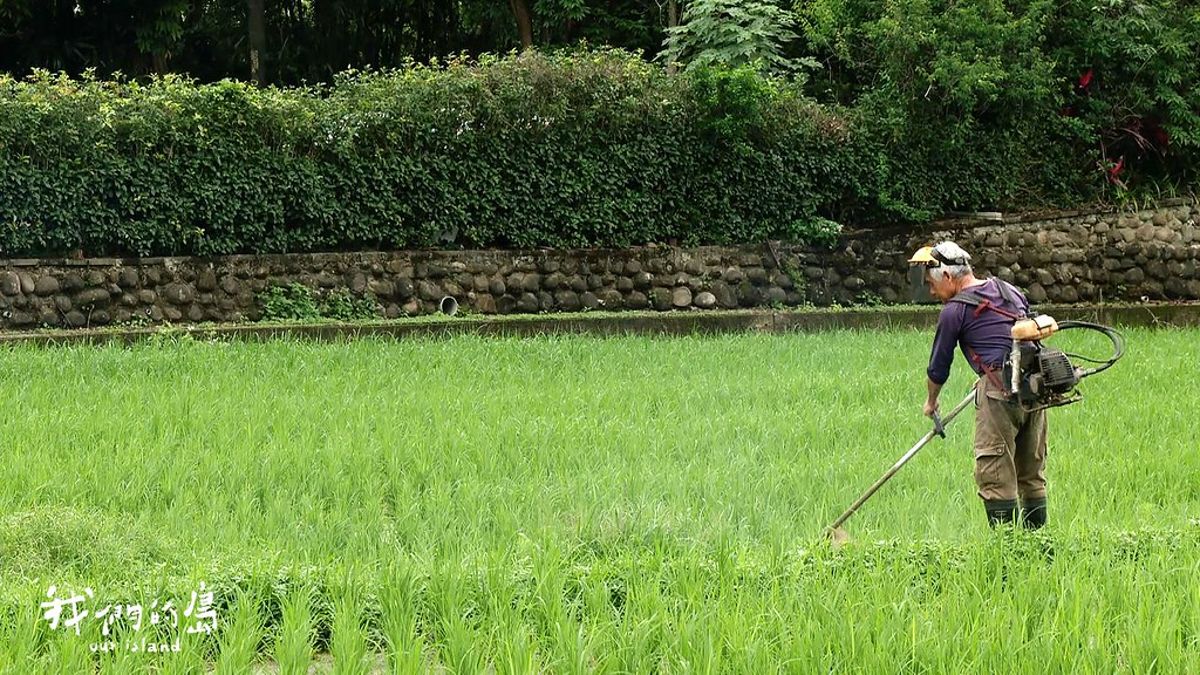 竹東徵收又來臨：他們守了這片農地三十年