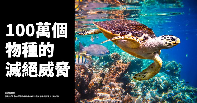 百萬物種怎麼了?一分鐘看懂受脅物種與牠們的滅絕威脅