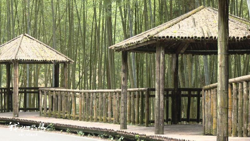 竹構建築的台灣願景 從傳統到現代的竹材運用