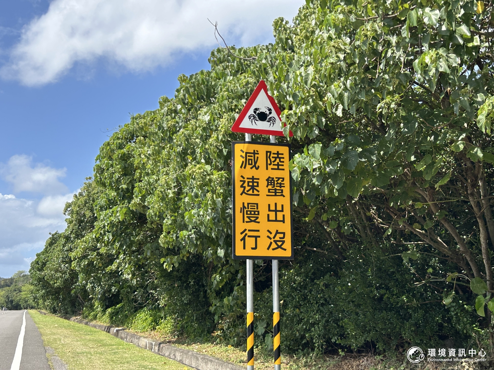 在恆春半島往滿州鄉的路上,會有路牌提醒有陸蟹出沒,減速慢行防路殺。攝影︰袁慧妍