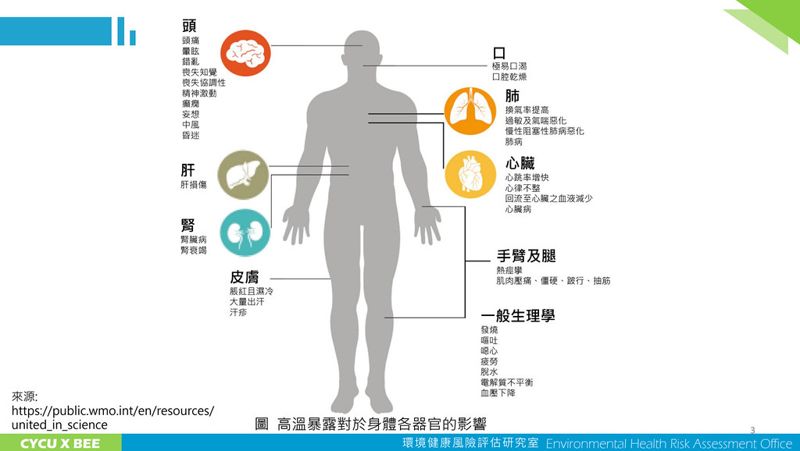 不只要注意心血管 國內學者提醒 極端溫度也與腎功能疾病相關