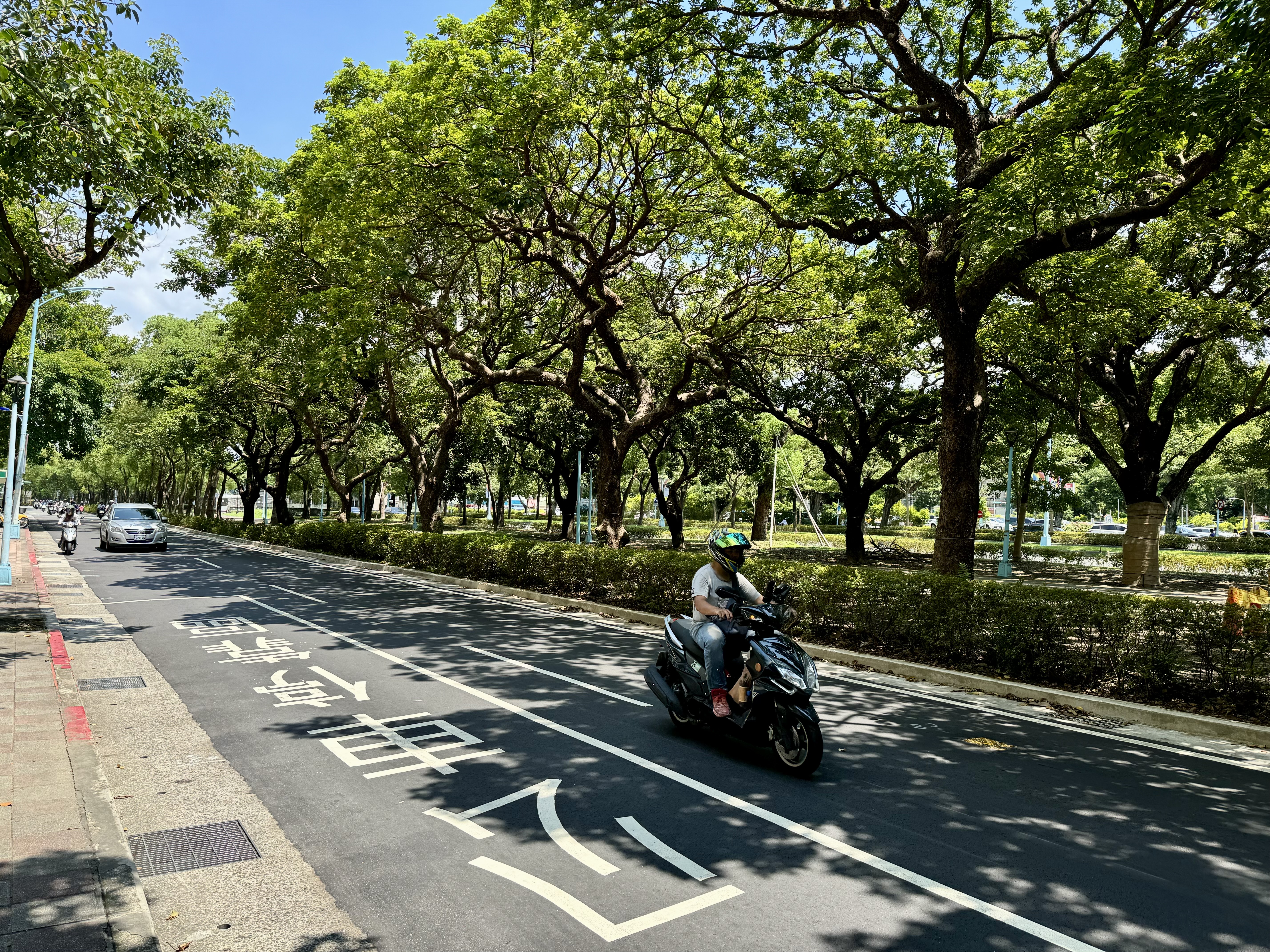 樹木可以遮蔭、降溫,是面對極端氣候的調適解方之一。資料照。攝影:李蘇竣