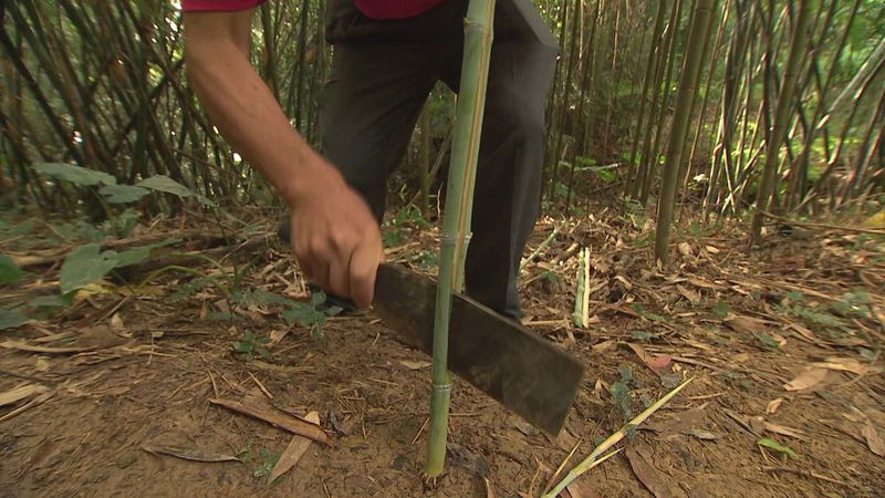 重拾自然 紙寮窩「竹造紙」新開張