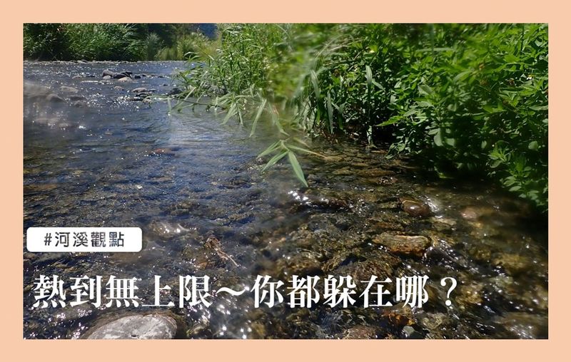 熱到無上限 溪裡的魚都躲在哪避暑呢？