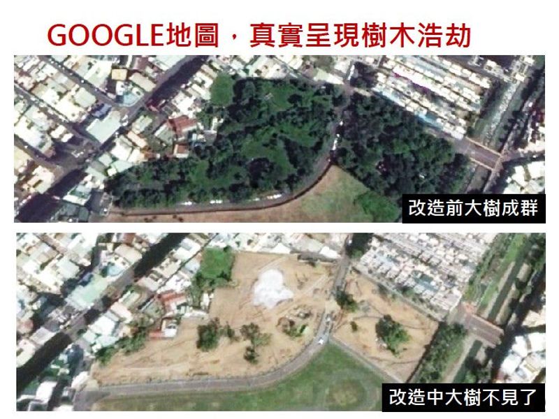 高雄公園改建工程「把大樹變草皮」 民團：給我樹冠綠覆率！