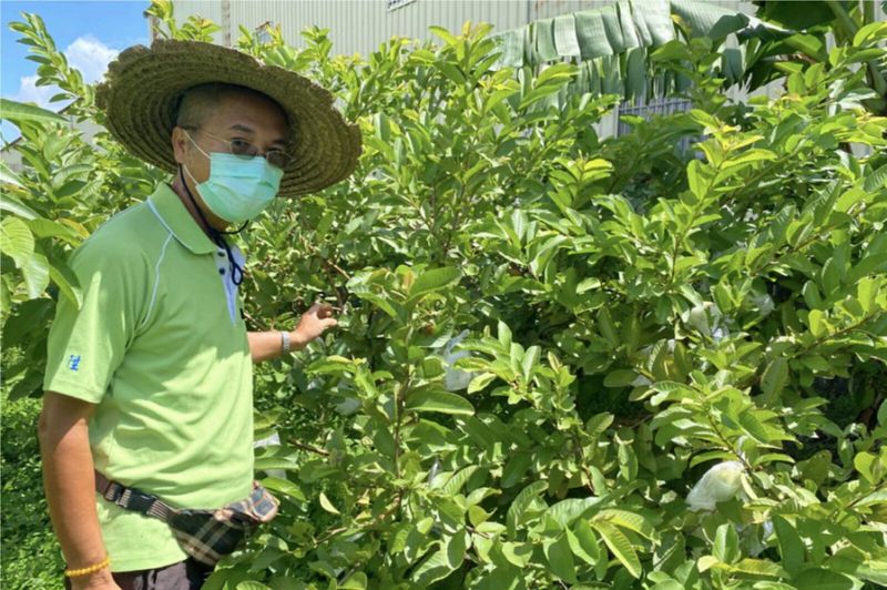 田裡有腳印 首屆大腳印獎選拔綠色保育農民 實證不除草就是保土、保水、固碳
