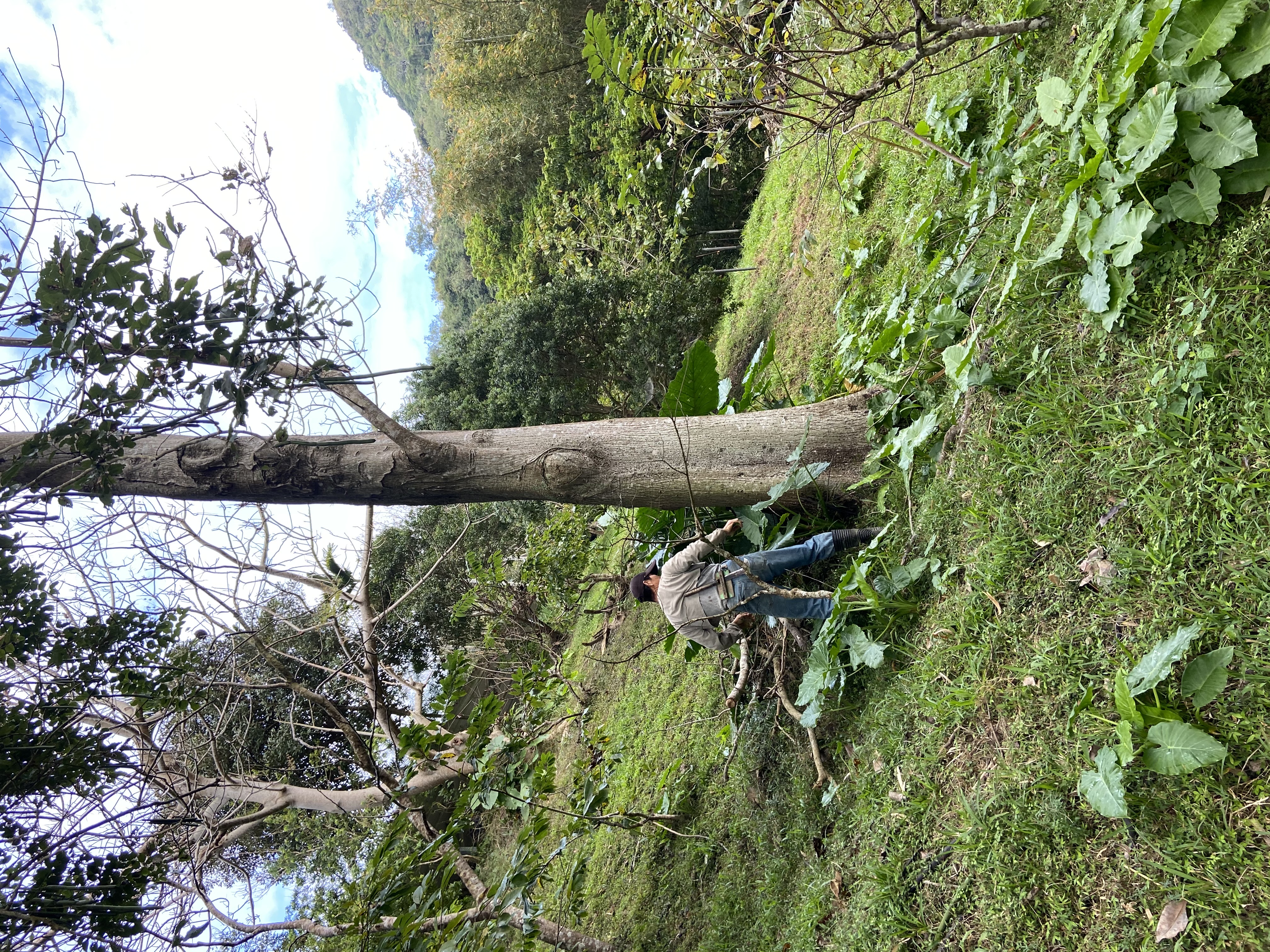 賴金田於山坡地進行植樹作業，依地形與風向選擇適合樹種，逐步建立多樣性的森林結構。