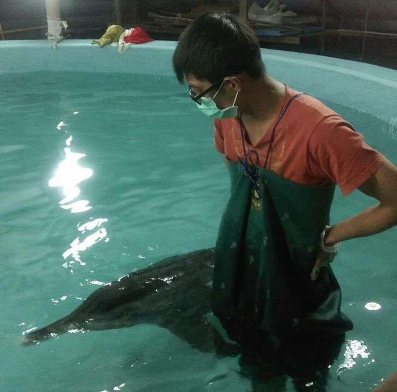 從無常到無悔 以大海為師 海豚為名的人