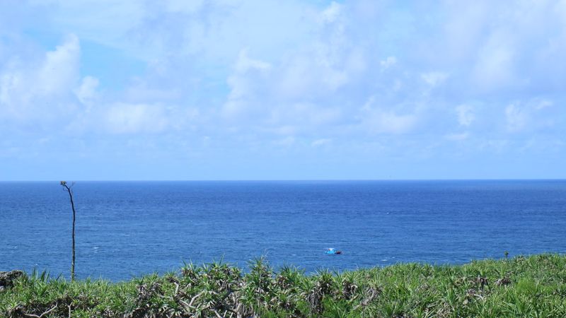 立法院三讀《海洋基本法》 訂6/8國家海洋日 一年內須提白皮書