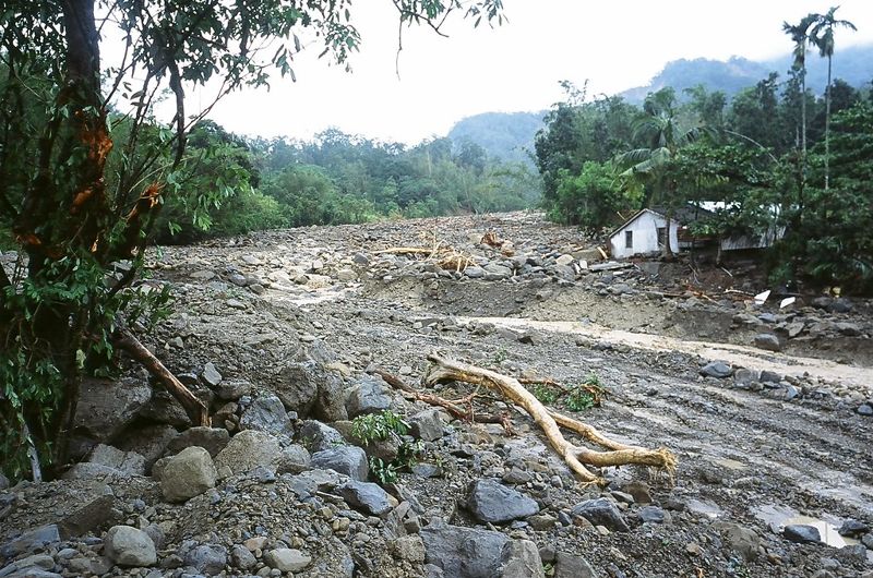春季旱象、水稻減產、埃及斑蚊北移... 專家揭台灣未來多重氣候風險