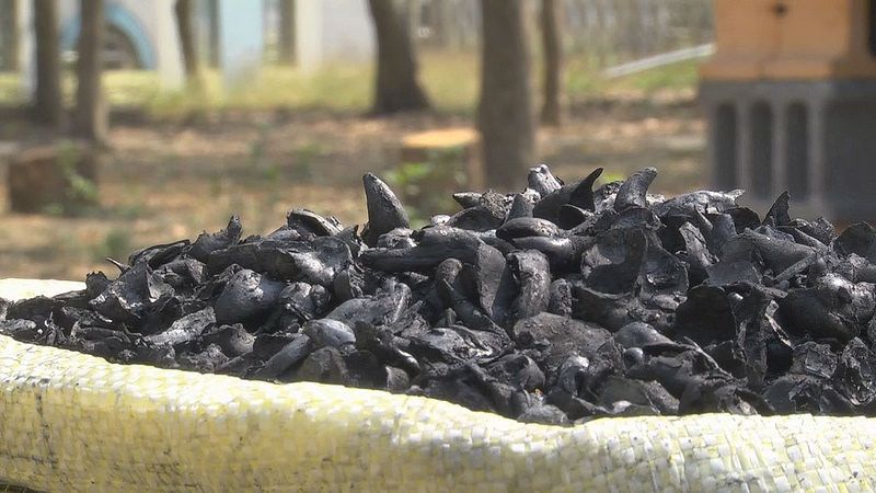 菱炭顧官田 賺進社區經濟與老農健康