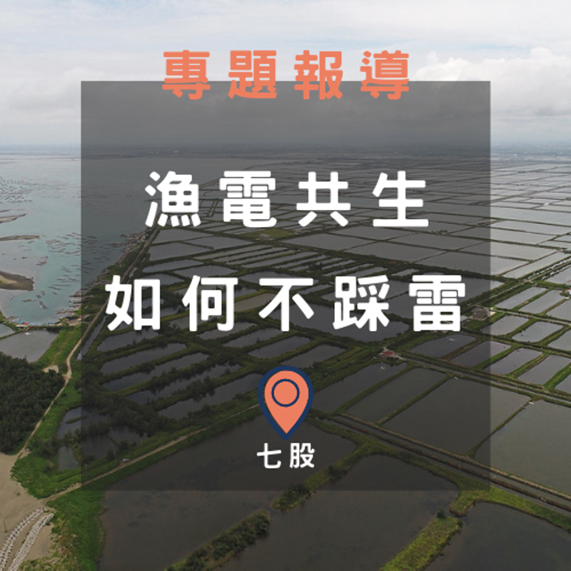 漁電共生如何不踩雷