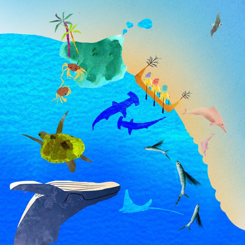 劃設保護區 讓海洋生物「依法群聚」