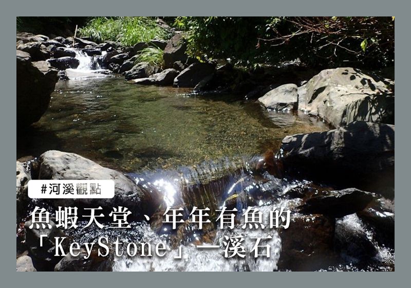魚蝦天堂、年年有魚的「KeyStone」——溪石