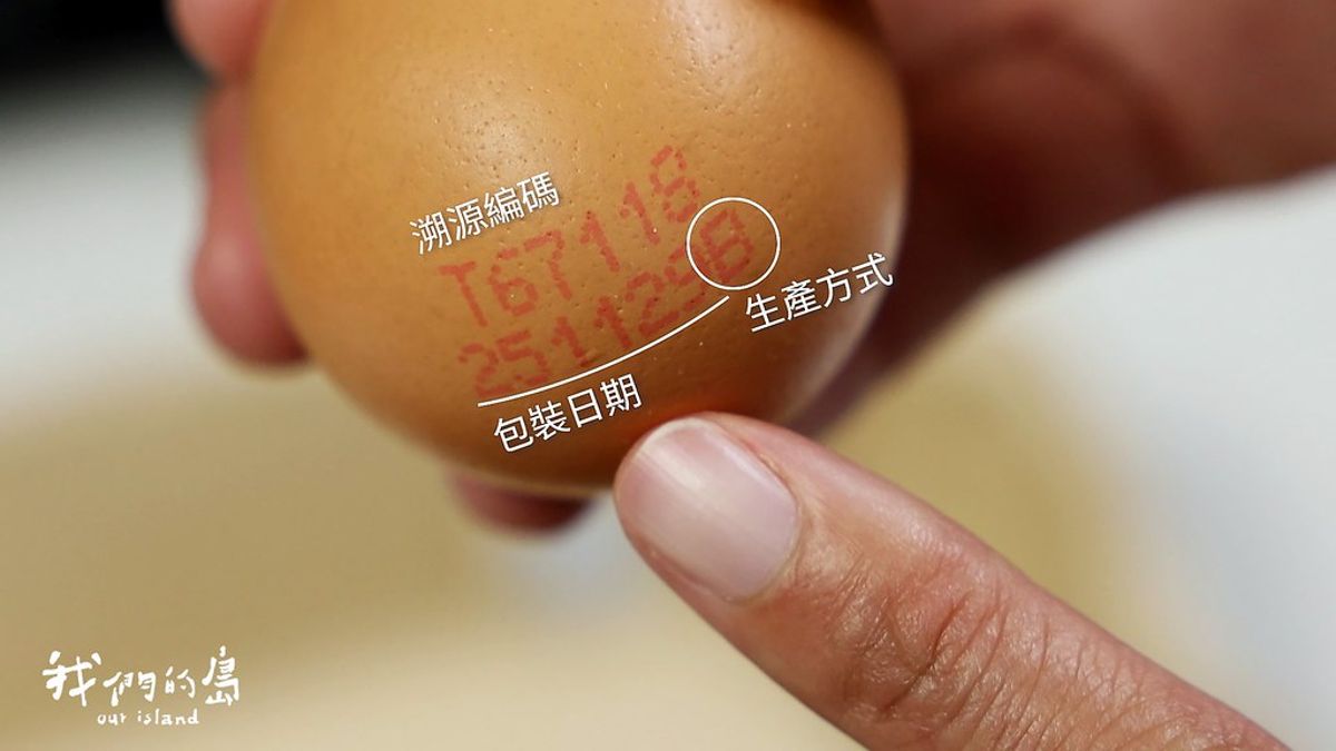 芬普尼雞蛋 該怎麼做才能安心吃蛋？