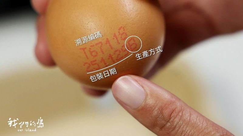 芬普尼雞蛋 該怎麼做才能安心吃蛋？