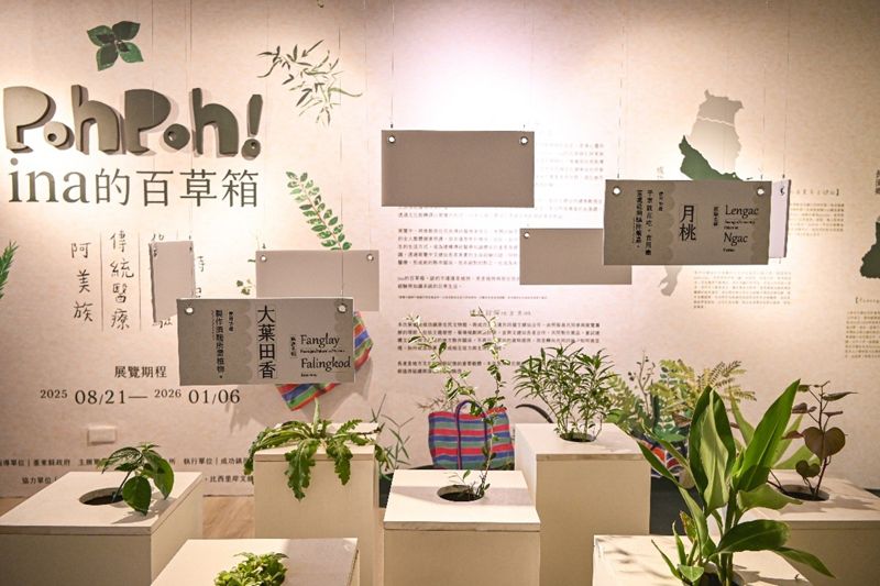 打開「Poh Poh ! ina 的百草箱」 看見原民傳統醫療的柔性力量